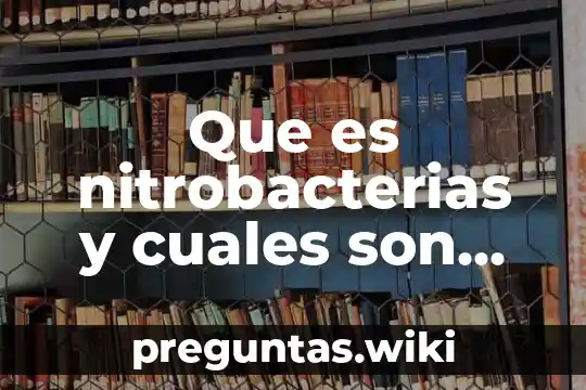 Que es nitrobacterias y cuales son sus alimentos