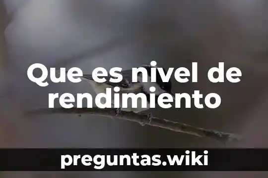 Que es nivel de rendimiento