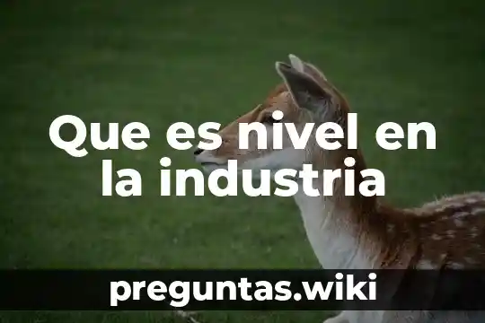 Que es nivel en la industria