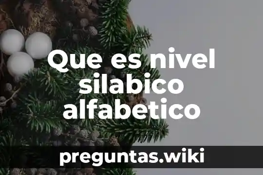Que es nivel silabico alfabetico