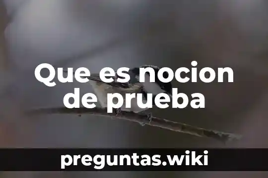 Que es nocion de prueba