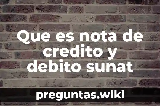 Que es nota de credito y debito sunat