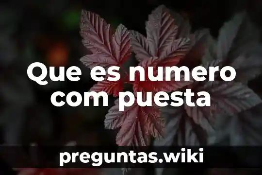 Que es numero com puesta