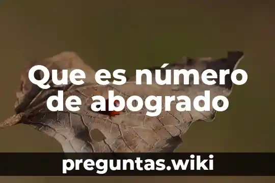 Que es número de abogrado