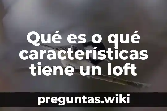 Qué es o qué características tiene un loft