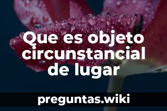 Que es objeto circunstancial de lugar
