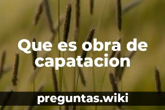 Que es obra de capatacion