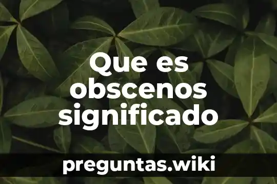 Que es obscenos significado
