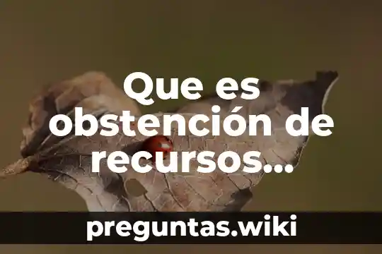 Que es obstención de recursos financieros