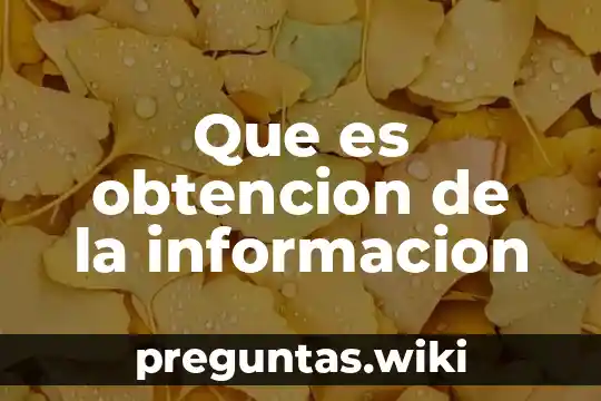Que es obtencion de la informacion