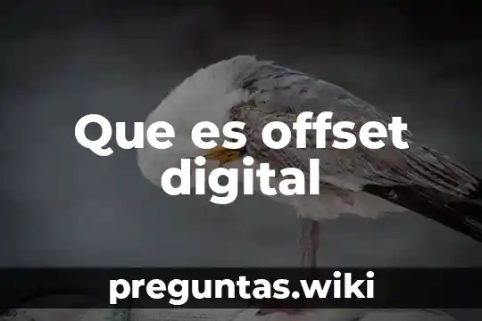 Que es offset digital