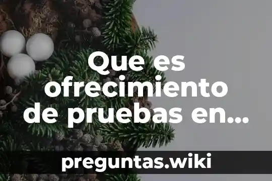Que es ofrecimiento de pruebas en el proceso penal