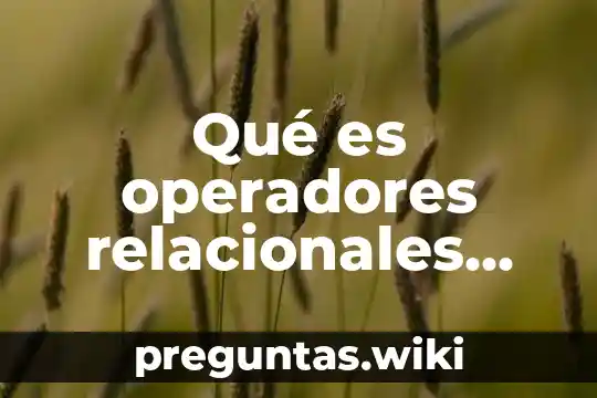 Qué es operadores relacionales comparación en informática
