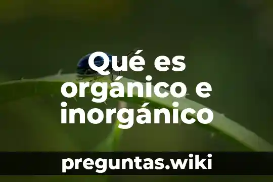 Qué es orgánico e inorgánico