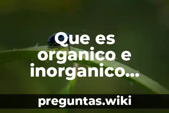 Que es organico e inorganico actividad divetida