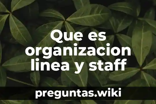 Que es organizacion linea y staff