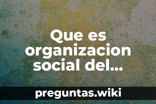Que es organizacion social del trabajo