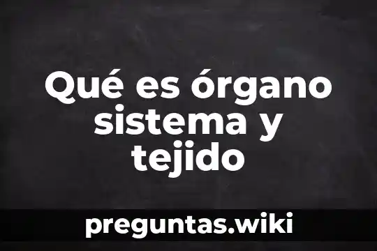 Qué es órgano sistema y tejido