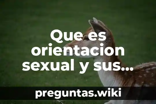 Que es orientacion sexual y sus tipos