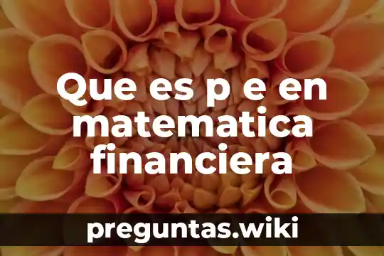 Que es p e en matematica financiera