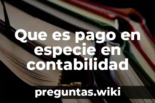 Que es pago en especie en contabilidad