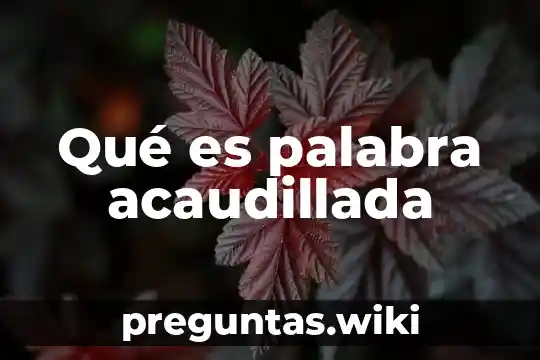 Qué es palabra acaudillada