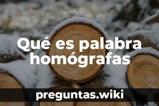 Qué es palabra homógrafas