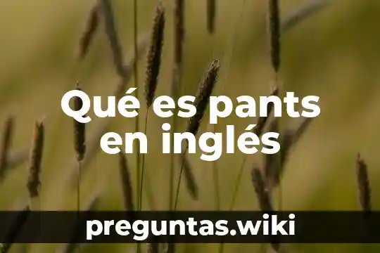 Qué es pants en inglés
