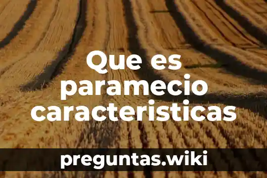 Que es paramecio caracteristicas