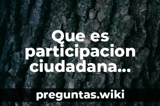 Que es participacion ciudadana ambiental