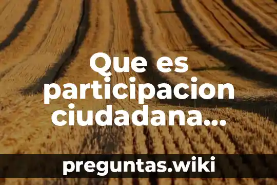 Que es participacion ciudadana ejemplos