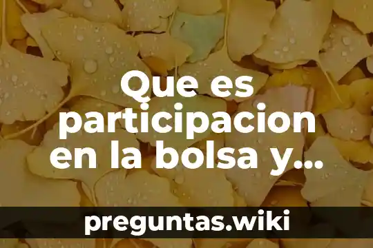 Que es participacion en la bolsa y ajuste en acciones
