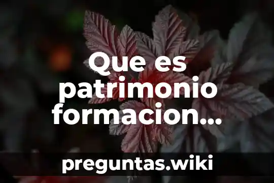 Que es patrimonio formacion civica y etica