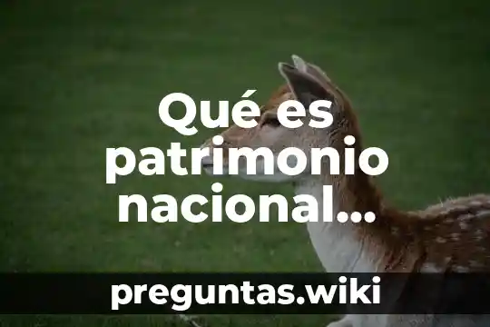 Qué es patrimonio nacional México