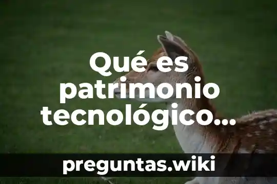 Qué es patrimonio tecnológico concepto