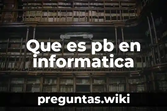 Que es pb en informatica