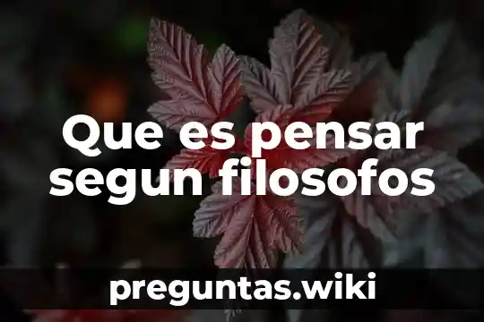 Que es pensar segun filosofos