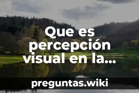 Que es percepción visual en la psicologia