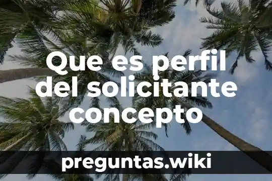 Que es perfil del solicitante concepto