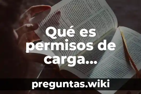 Qué es permisos de carga ambiental