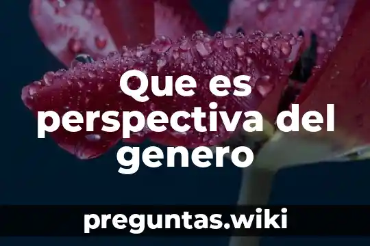 Que es perspectiva del genero