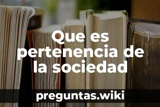 Que es pertenencia de la sociedad
