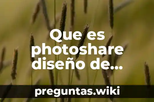 Que es photoshare diseño de interfaces