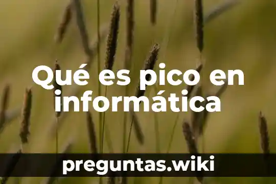 Qué es pico en informática