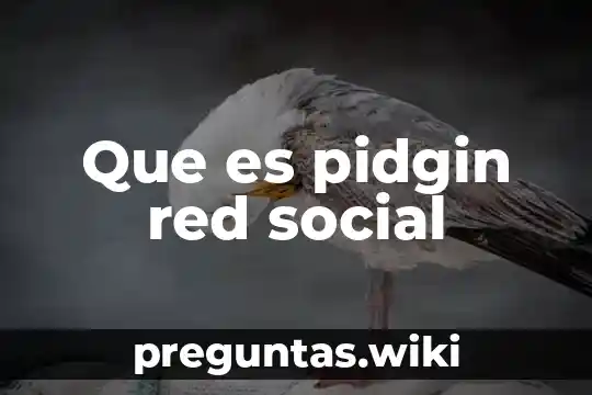 Que es pidgin red social