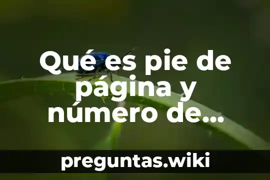Qué es pie de página y número de página
