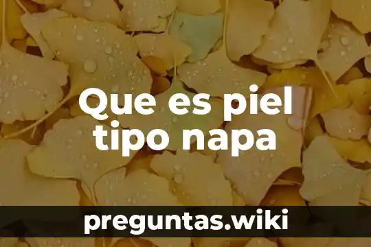 Que es piel tipo napa