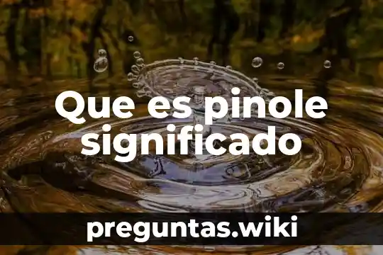 Que es pinole significado