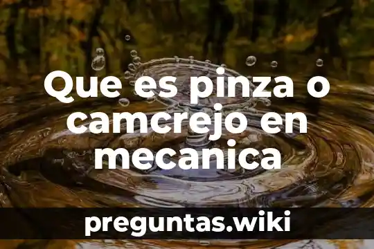 Que es pinza o camcrejo en mecanica