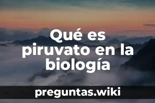 Qué es piruvato en la biología